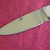 W.C. Davis Custom Handmade Drop Point Folding Lockback Hunting Knife